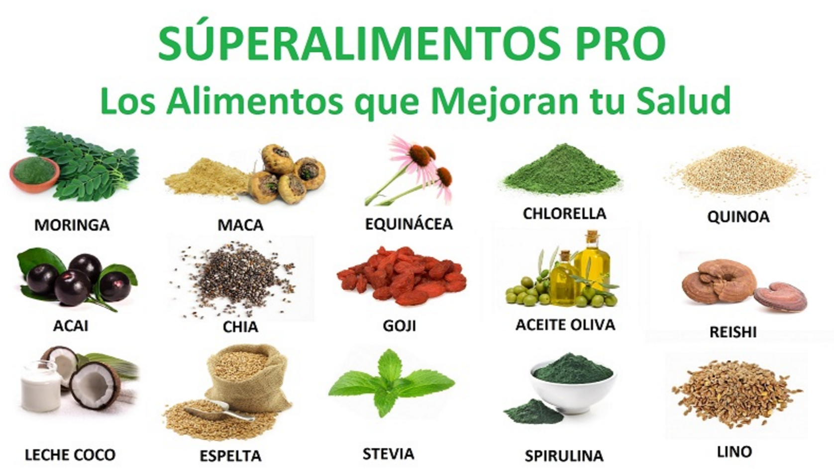 Imagen del programa de EIDH