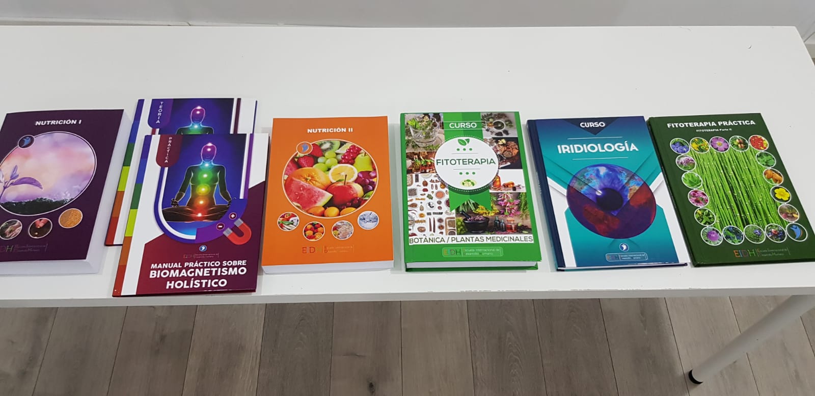 Colección de manuales de EIDH