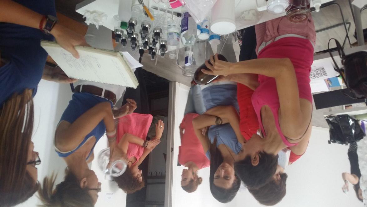 Imagen del programa de EIDH