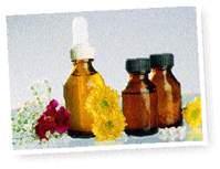 http://www.floresdebach.org/imgs/concepcion1.jpg
