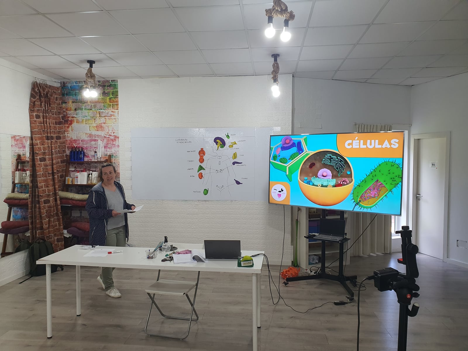 Presentación de contenidos de biología en el aula